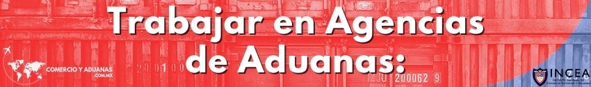 Trabajar en Agencias de Aduanas: Licenciado en negocios internacionales