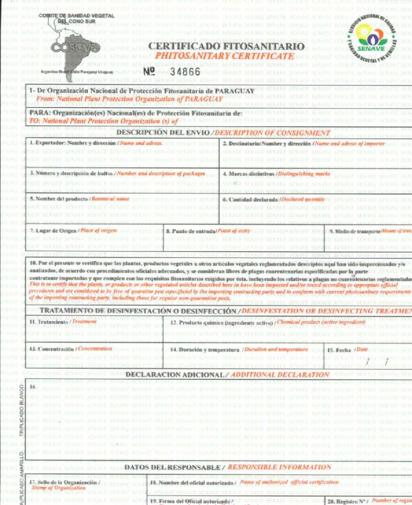 certificado exportar