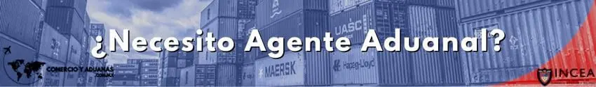 ¿Necesito Agente Aduanal? - Principales Problemas Con Aduanas