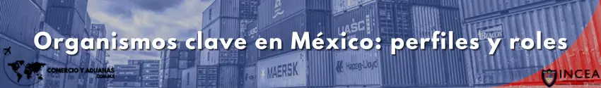Organismos clave en México: perfiles y roles