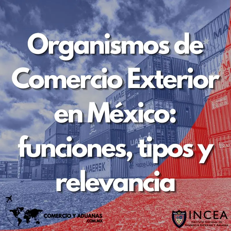 Organismos de Comercio Exterior en México: funciones, tipos y relevancia