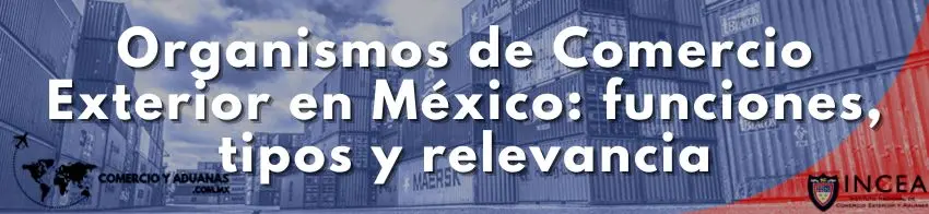 Organismos de Comercio Exterior en México: funciones, tipos y relevancia