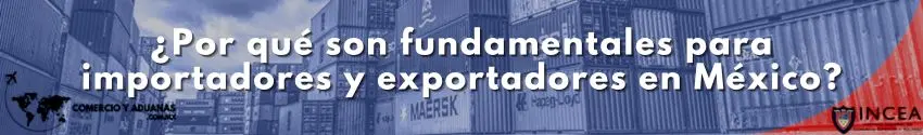 ¿Por qué son fundamentales para importadores y exportadores en México?